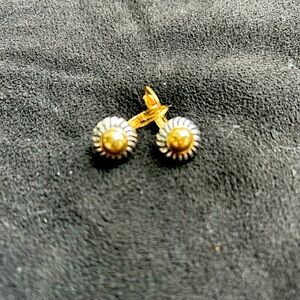 Elegant Gold and Silver Earrings